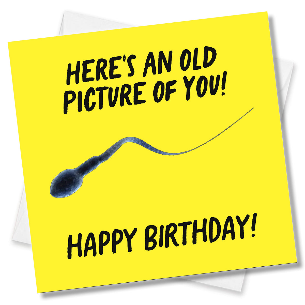 Punkcards - Funny Birthday Card for Men - 'Here's An Old Picture of You! Happy Birthday' - Best Friend Birthday Card - Birthday Card for Men - Funny Birthday Card for Women