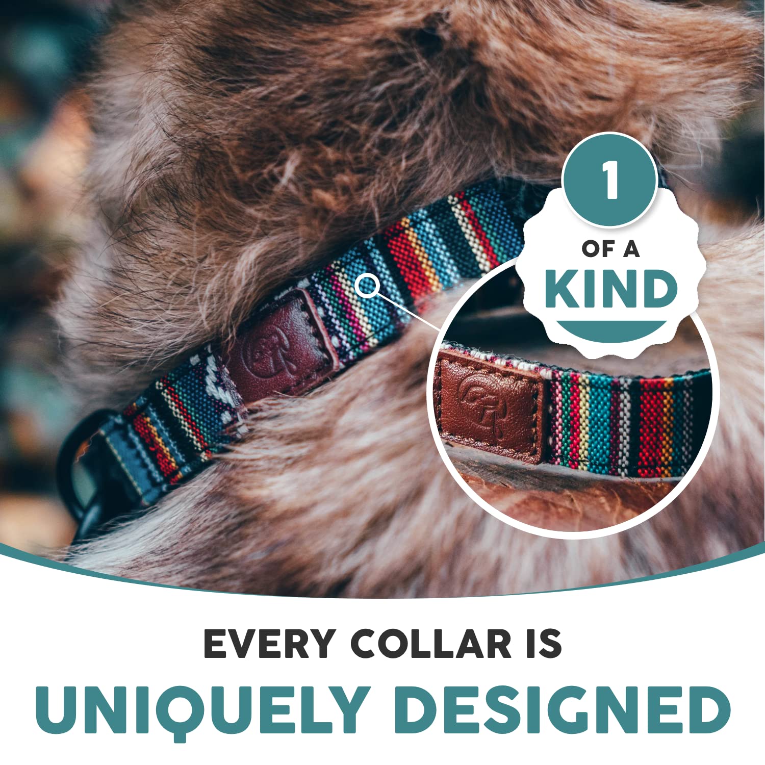 Embark Urban Dog Collars with Soft Padded Neck, Matching Set with Urban Leash and Harness, Pet Collars for Dogs & Most Breeds - Puppy Collars, Dog Collar for Medium Large & Small Dogs UK