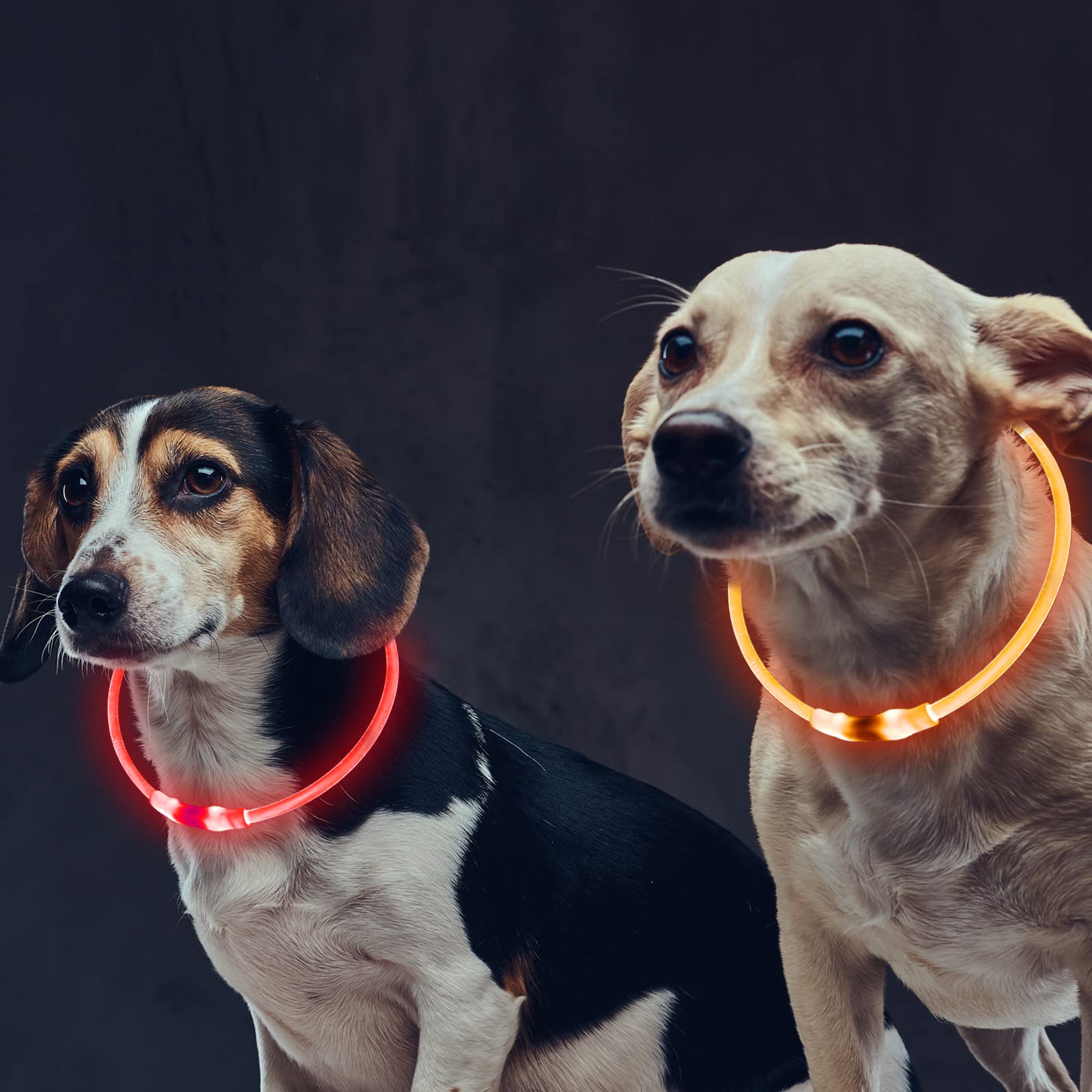 Mardiko Light up Dog Collar Rechargeable Adjustable Length for Small Medium Large Dogs Cats, Flashing LED Puppy Collars Illuminated Dog Collars with 3 Light Modes Waterproof, Orange