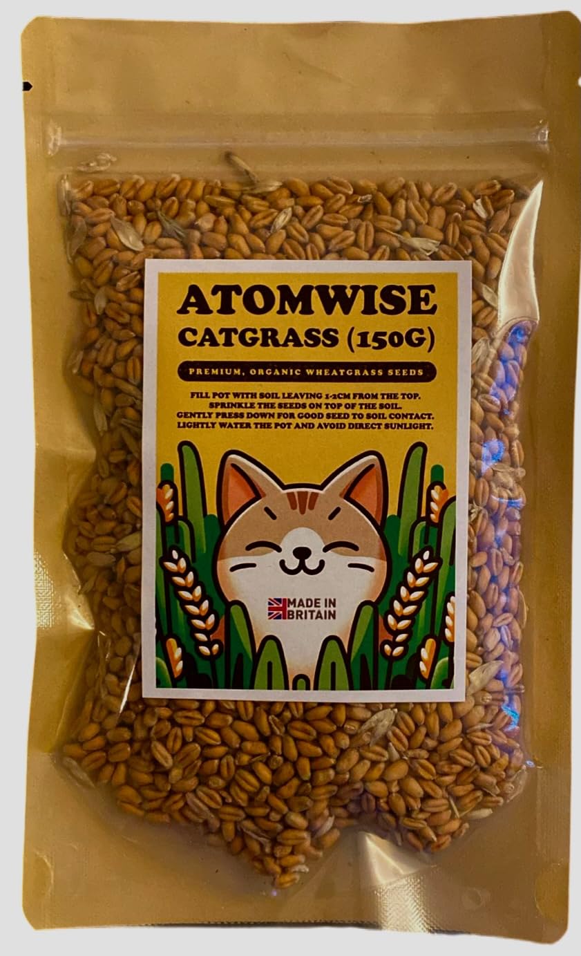 Cat Grass Seeds 150g   UK Grown Organic Wheatgrass Seeds   Cat Grass for Indoor Cats  Cat Grass for Outdoor Cats