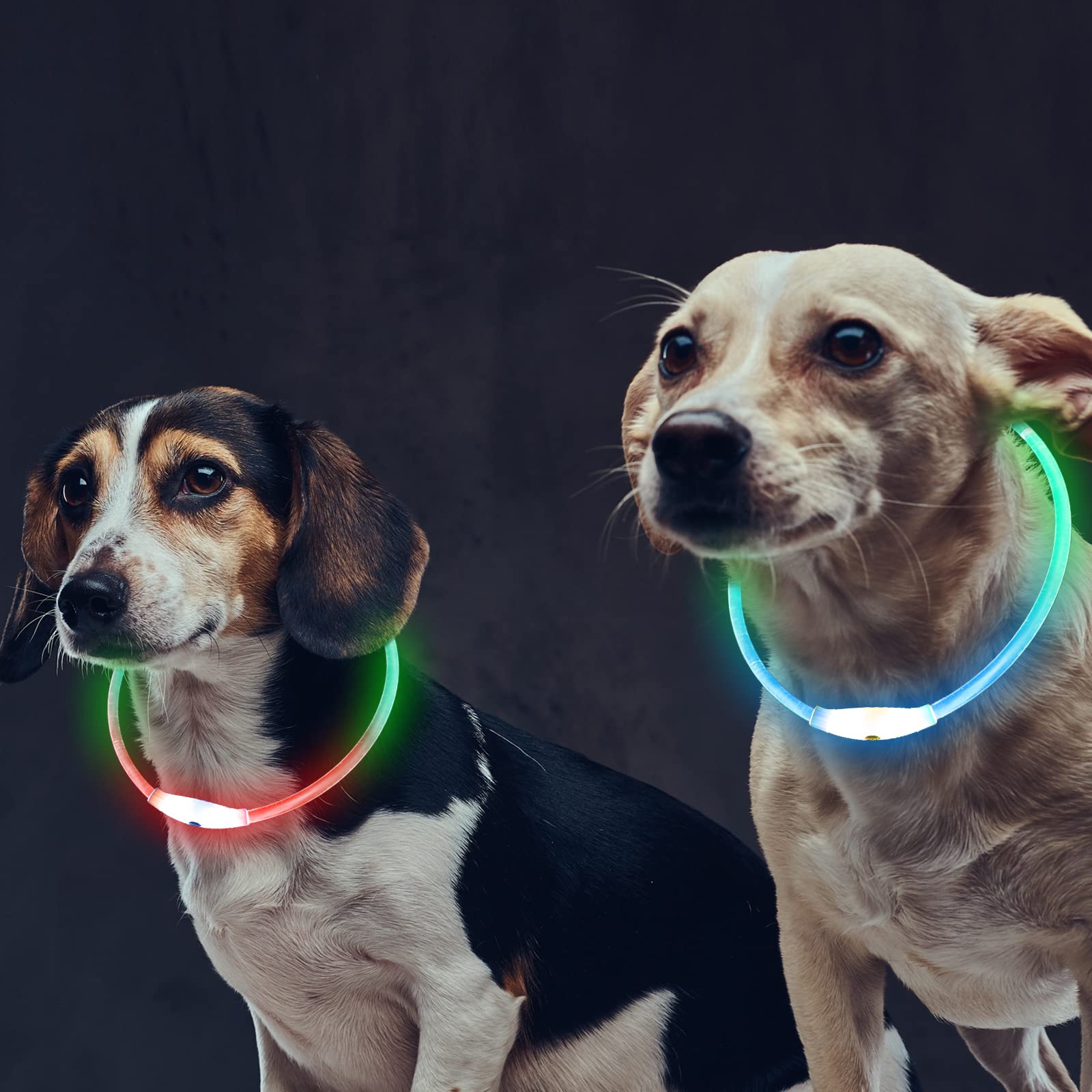 Mardiko Light up Dog Collar Rechargeable Adjustable Length for Small Medium Large Dogs Cats, Flashing LED Puppy Collars Illuminated Dog Collars with 4 Light Modes Waterproof, Multicolor