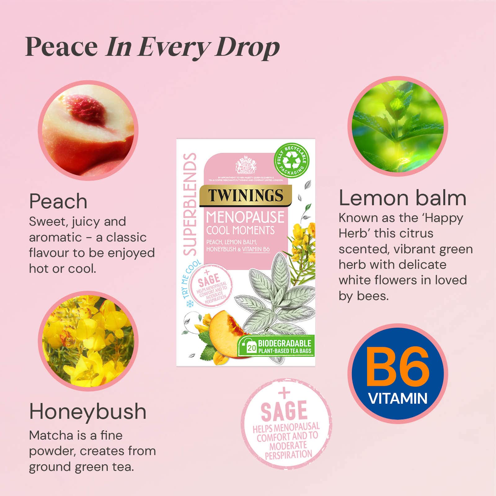 Twinings Superblends Menopause Cool Moments Peach Herbal Tea infusion with Lemon Balm, Honey Blush & Vitamin B6, 20 Biodegradable Bags