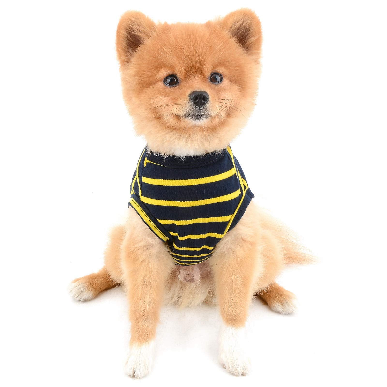 PAIDEFUL Clothes for Small Dogs Cats Boy Girl Summer Classic Stripes Puppy T Shirt Vest Breathable Jumper Cotton Tee Sleeveless Chihuahua Yorkshire