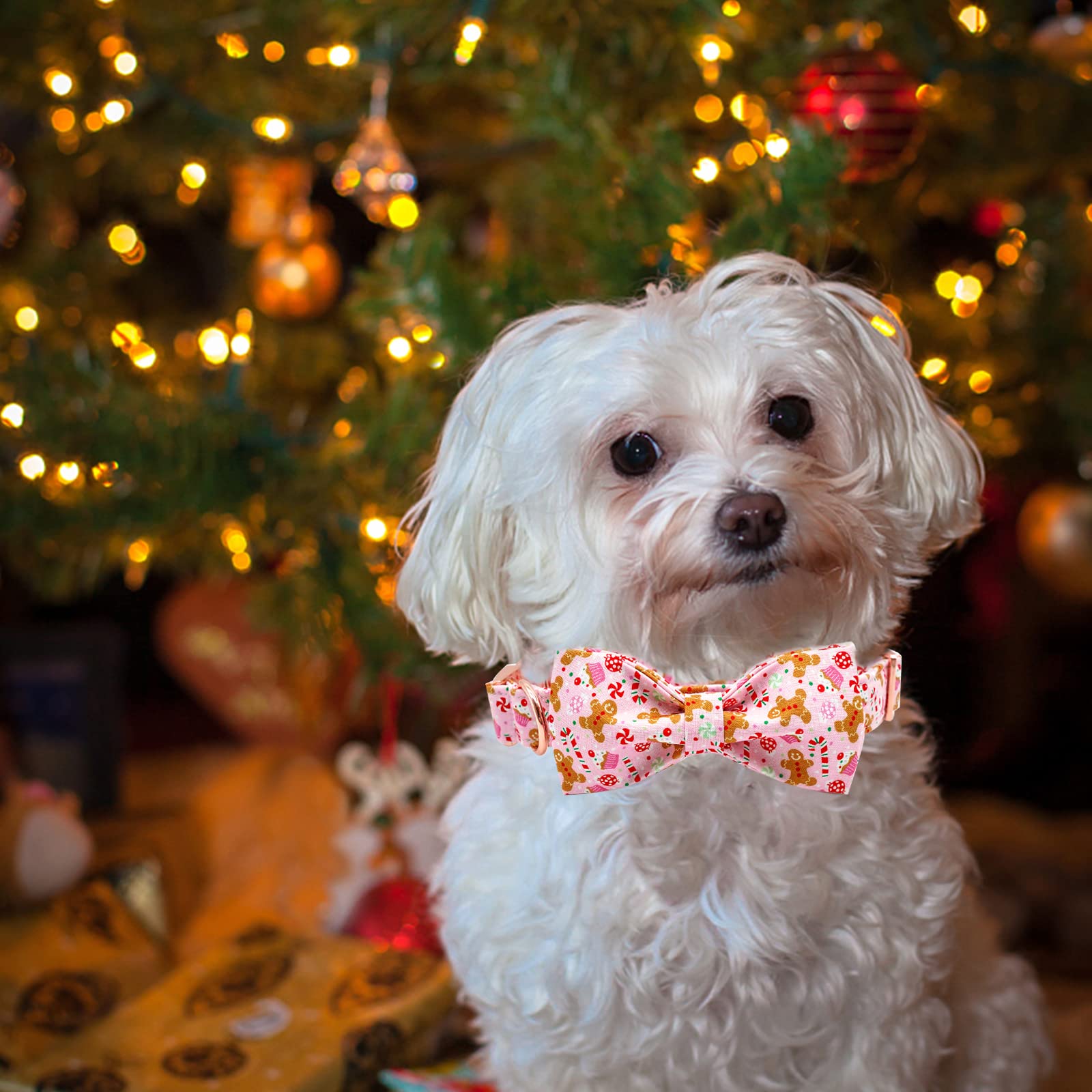 Elegant little tail Christmas Dog Collar with Bow, Pink Gingerbread Man Dog Collar Bow Girl or Boy Dog Collar Dog Bowtie Pet Gift Adjustable Dog Collar for X-Small Puppy