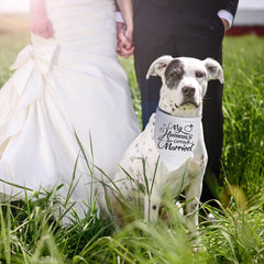 Engagement Gift, My Humans are Getting Married Dog Bandana, Wedding Photo Prop, Pet Scarf, Dog Engagement Announcement, Pet Accessories