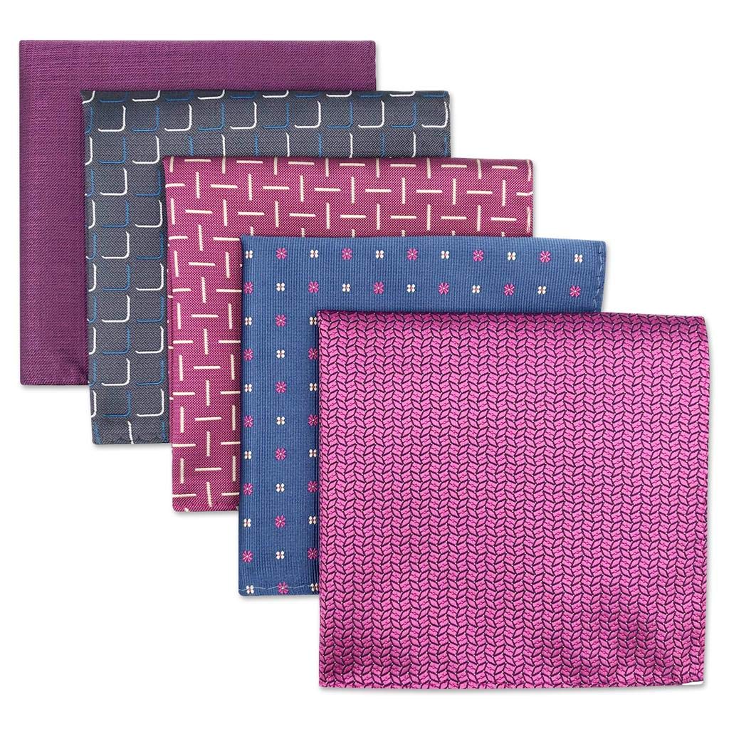 Shlax&Wing 5 Pieces Assorted Mens Pocket Square Handkerchiefs Set LotLSet39