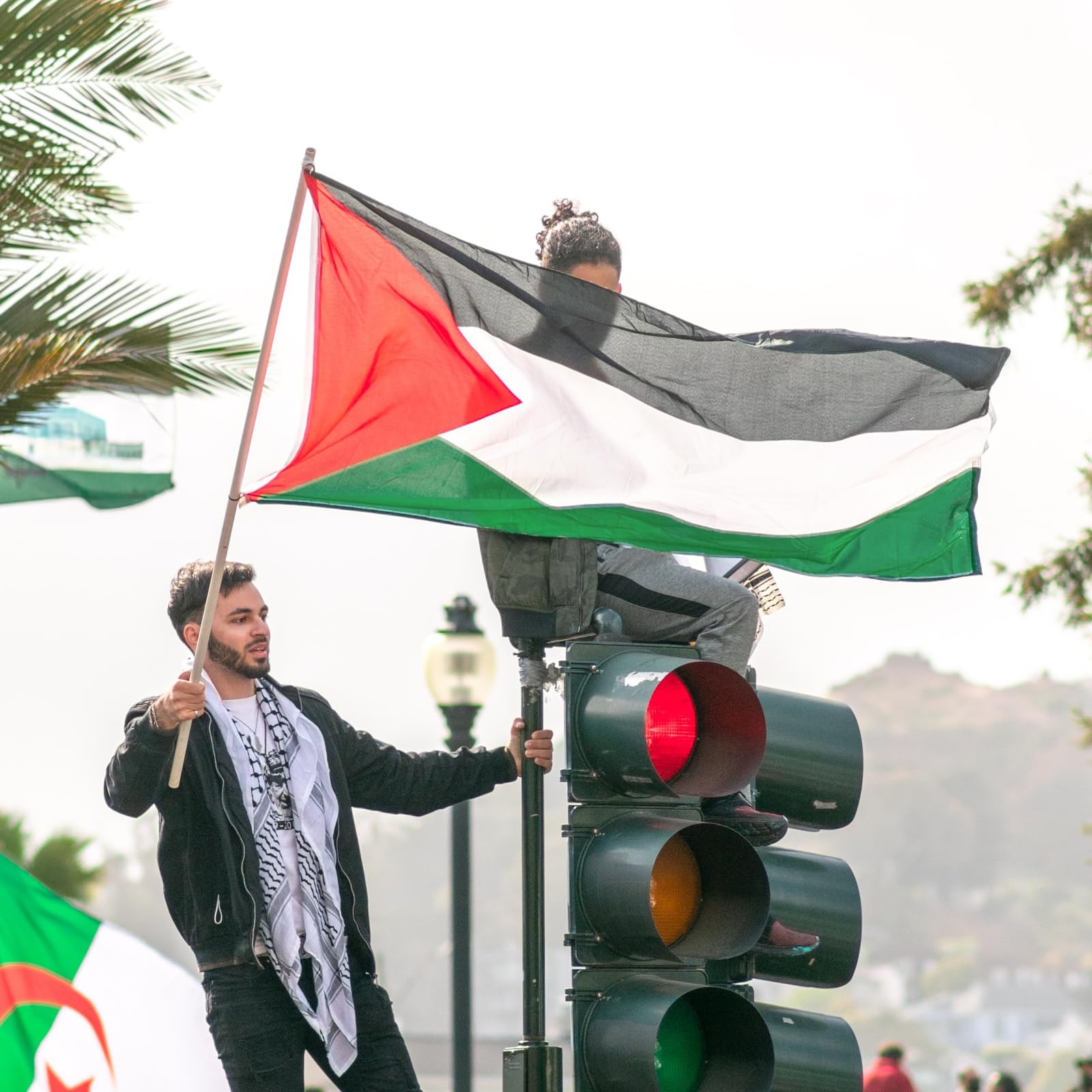 Palestine Flag 3x5 Outdoor - Black, White, Green and Red with Triangle Design Flags Hanging Country National Palestinian Flag with Brass Grommets for Independence Celebration Indoor Home Decorations