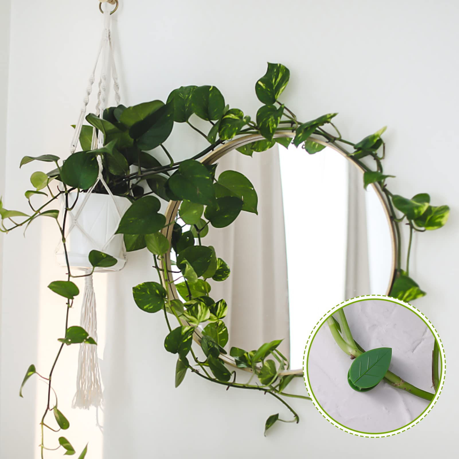 Cerolopy 30 Pcs Plant Climbing Wall Fixture Clips with Adhesive Stickers Leaf Shaped Climbing Plant Clips Plant Wall Clips Indoor Plant Fixture Clips for Climbing Plants