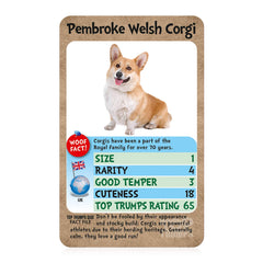 Top Trumps Dogs Classics Card Game, learn facts about the Boxer, Pug, Husky and the Chihuahua in this educational packed game, Gifts and Toys for Boys and Girls Ages 6 plus , 2 plus player game.