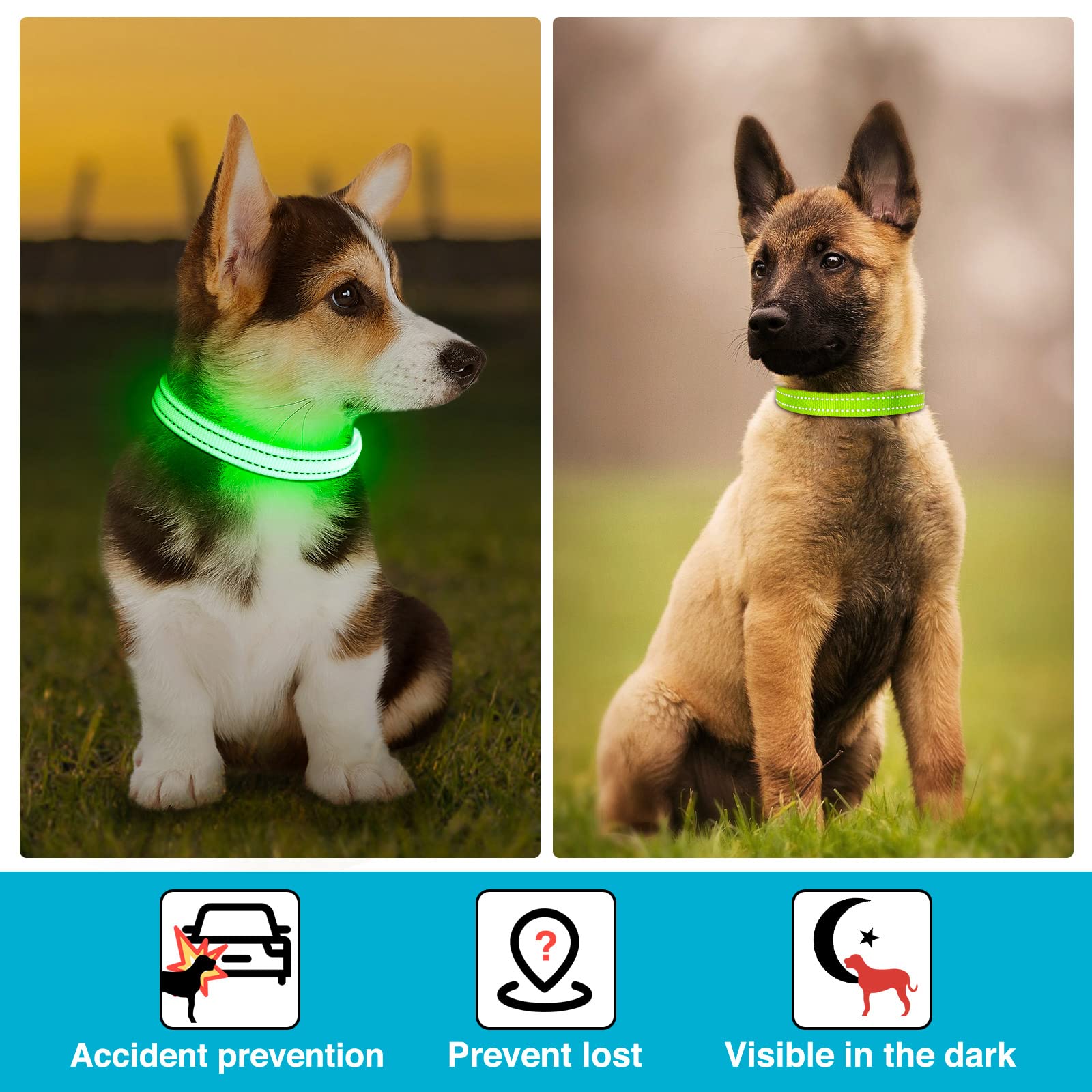 KOSKILL Light Up Dog Collar, Led Dog Collar Usb Rechargeable Waterproof, Flashing Dog Collars For Dark, Illuminated Dog Collars, Glowing In The Dark Dog Collar Lights For Dogs Night Walking(Green, S)