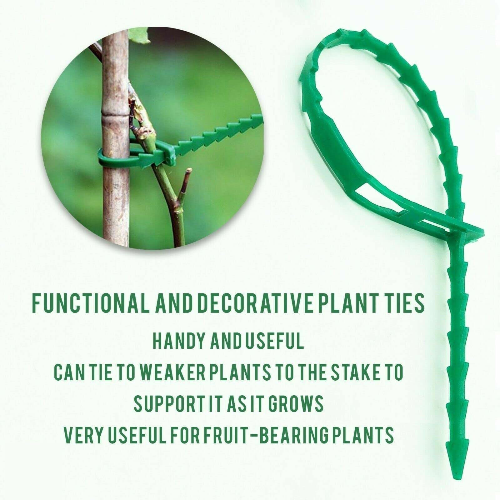 Ferris   Ultra-Strong Garden Plant Ties for Climbing Plants [100pk] Flexible & Reusable Heavy Duty Green Shrub Ties   Multi-Purpose Use on Indoor & Outdoor Garden Plants and Trees