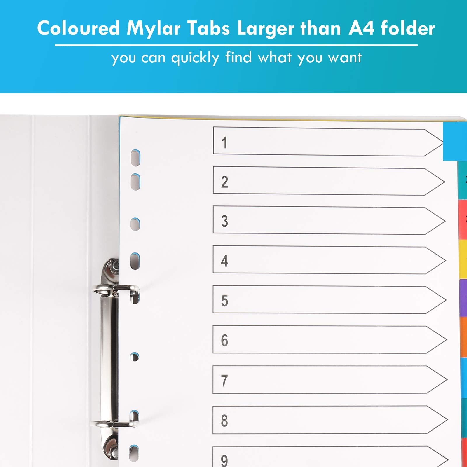 A4 Wide Colour Tabs 【5 Pack】File Dividers Coloured Mylar Multi Colours 1-12 Multipurpose Porous Index Dividers