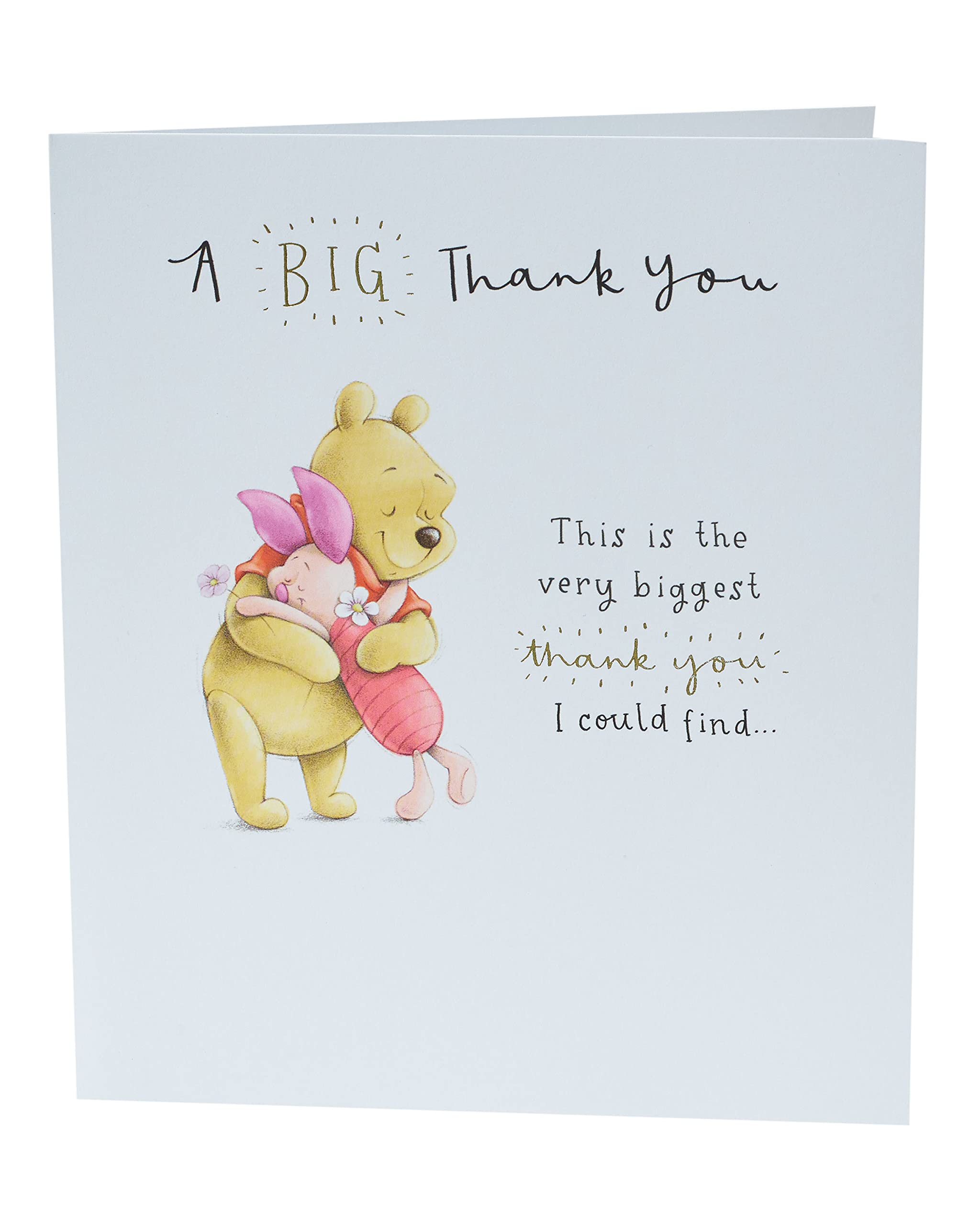 Disney Pooh Bear & Piglet A Big Thank You Greeting Card Cute Greetings Cards