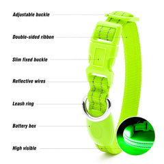 Visinite Light Up Dog Collar, Small Dog Collar Light For The Dark, Led Dog Collar Rechargeable, Night Flashing Dog Collar, Reflective Dog Led Light Collar, Dog Light Up Collar Keep Pet Safe (Green,S)