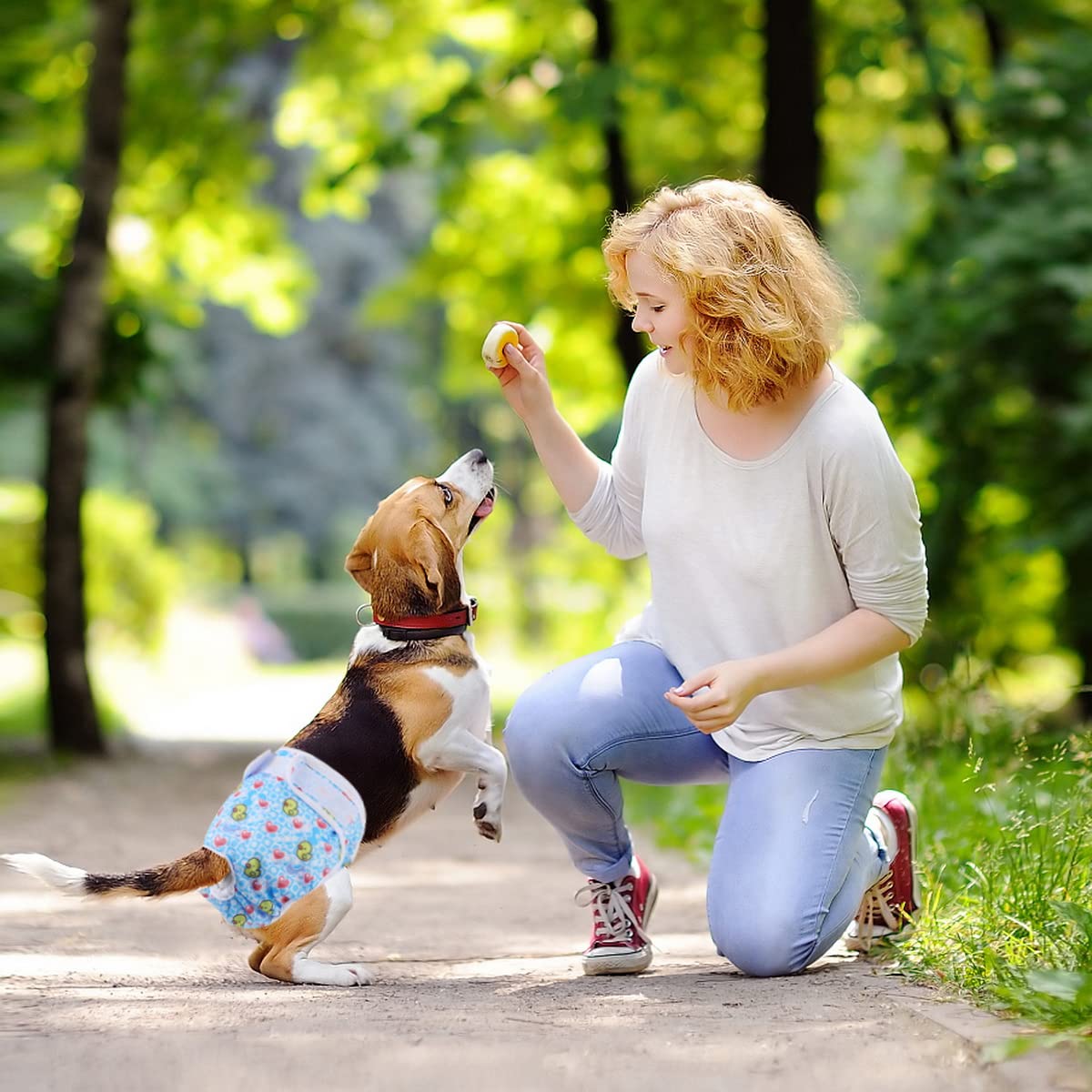 Medo 3 Packs Reusable Dog Nappies, Super Absorbent Washable Dog Diapers Puppy Sanitary Wraps Panties for Female Pet Incontinence and Long Travels 25-35 cm/9.8-13.7 (XS), pinkandblueandyellow