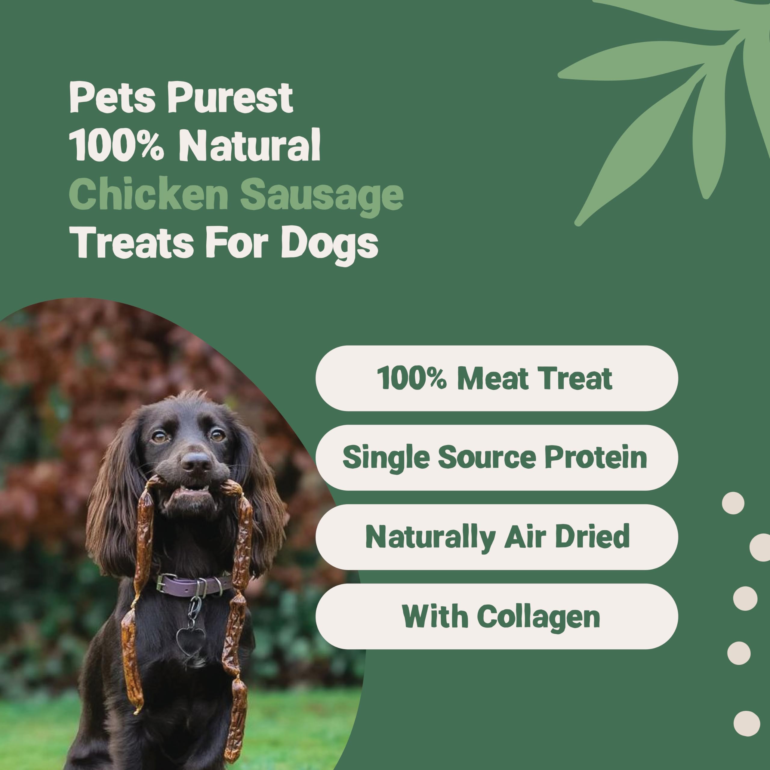 Pets Purest Natural Dog Treat Chews - 100% Healthy Air-Dried Chicken Sausage Meat Treats for Dogs, Puppy & Senior. Grain & Gluten Free Low Fat Raw Protein Dog Food Snack (200g)