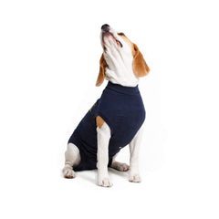 MPS Medical Pet Shirt Dog, Surgery Recovery Suit, Blue, XXXX-Small