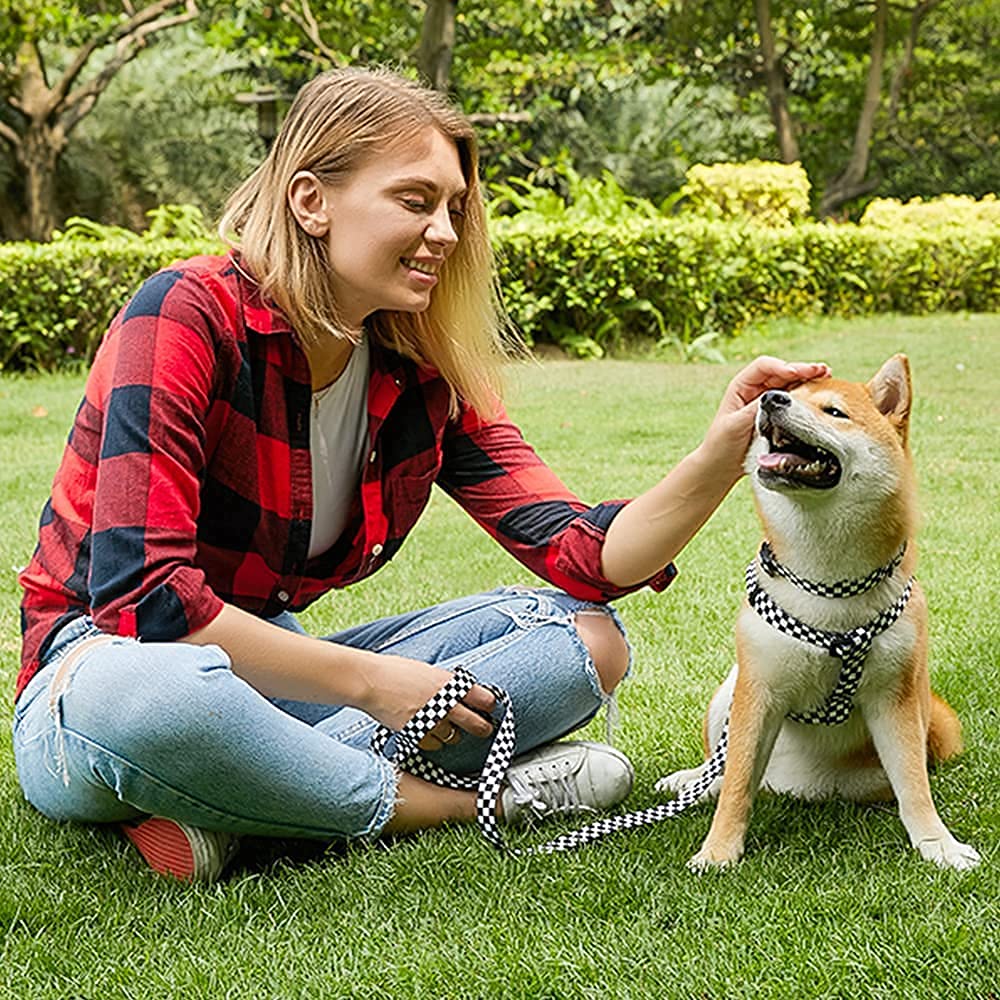 Roses&Poetry Dog Collar With Colourful Checkered Patterns,Adjustable Durable Puppy Collars for Small Medium Large Dogs(Black & White-S）