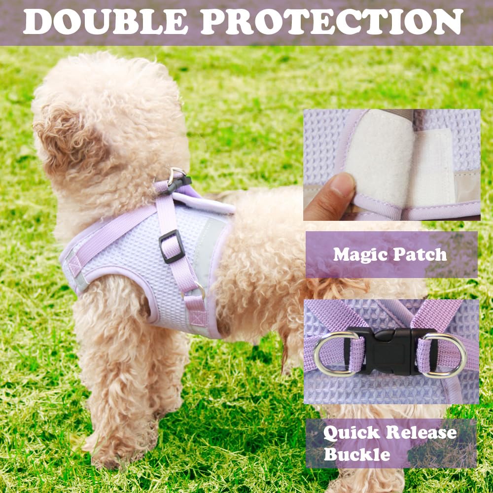 Anlitent Soft Breathable Step In Dog Harness Set for Medium Sized Dogs, No Pull Dog Harness Leash for Outdoor Jogging Training Cute Dog Collar Girl Up to 15lbs (Large, Light Purple)