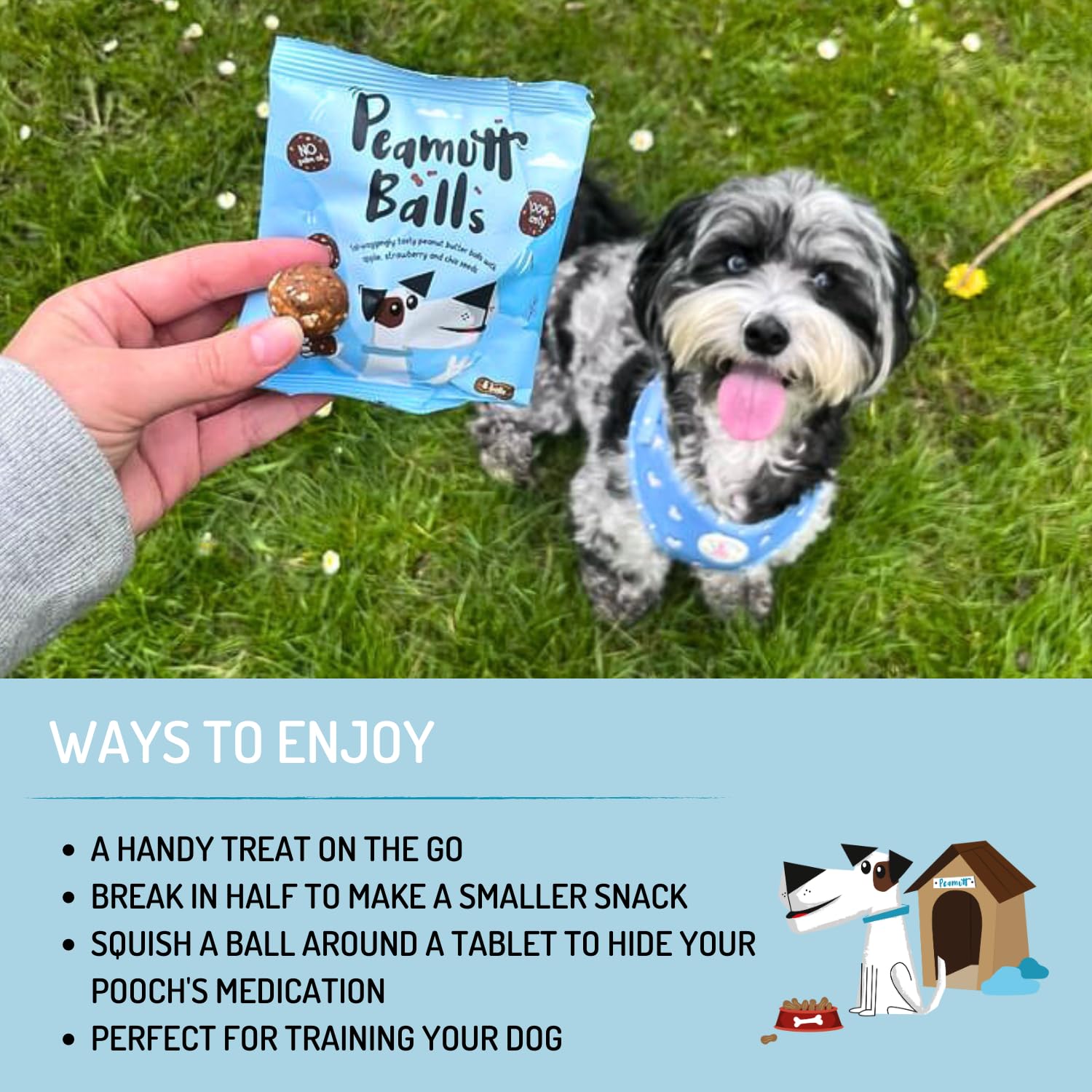 Peamutt Butter Balls, 1 x 45g, Peanut Butter Dog Treat, Formulated for Dogs, No Palm Oil, Feed as a Treat or Reward, Suitable for Dogs over 4 Months