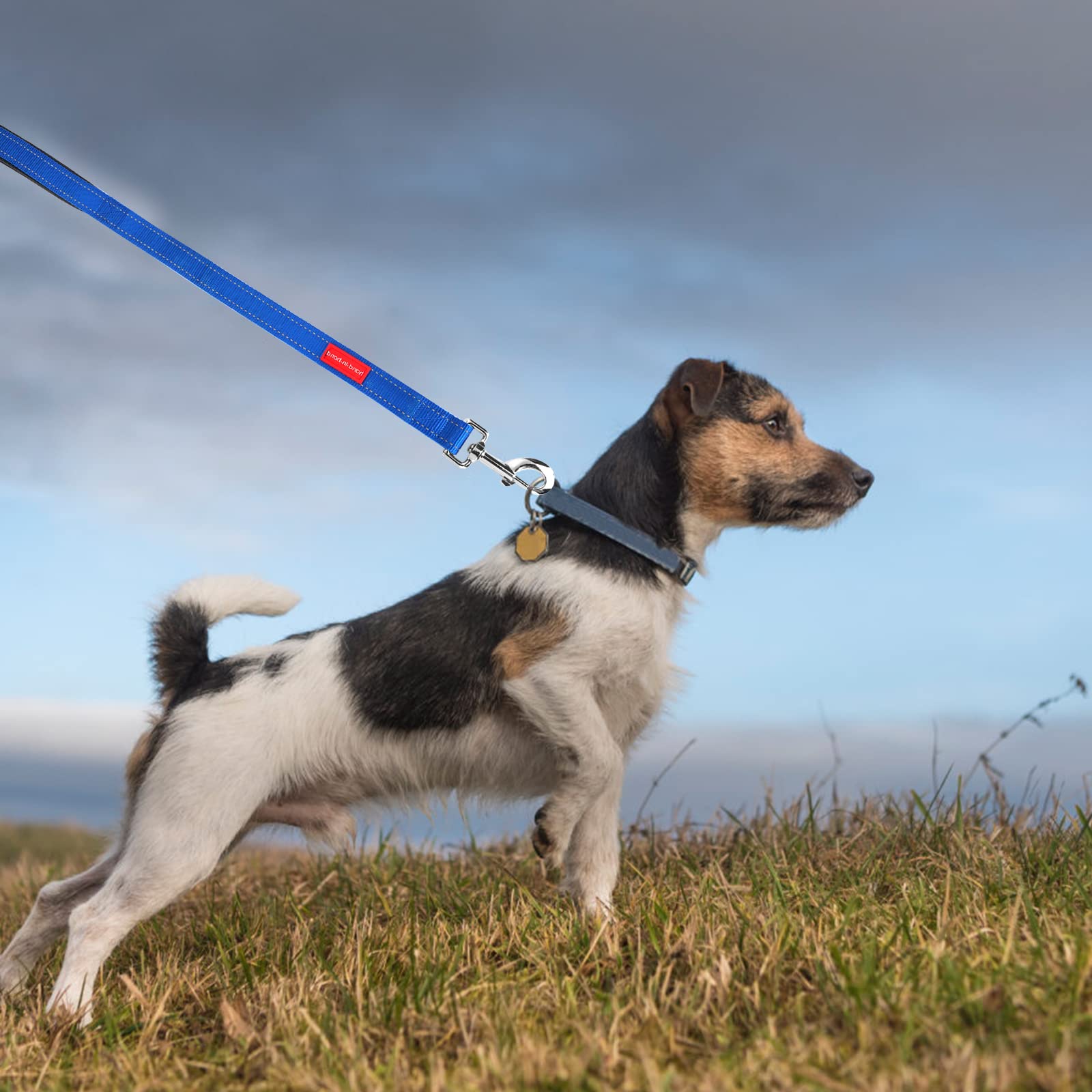 TIESOME Short Dog Leash with Padded Handle, Double Webbing Nylon Reflective Pet Leashes Pet Leash for Walking Training (Blue)