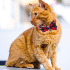 Red Plaid Cat Collars Quick Release Kitten Collar Bow Tie Safety Cat Bowtie Collars Christmas Cat Bow Collar With Bell Soft Tartan Collar Adjustable Pet Collars For Kitten Puppy Small Pets