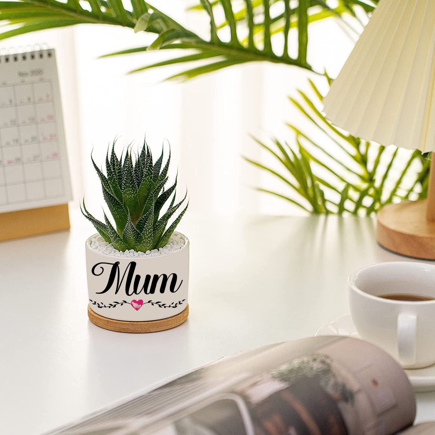 Aujzoo Mum Gifts For Birthday, Mum Gifts from Daughters Sons for Mother's Day, Best Mum Ever Succulent Pots Creative Present for Mom, Garden Decor Planter Succulent Pots