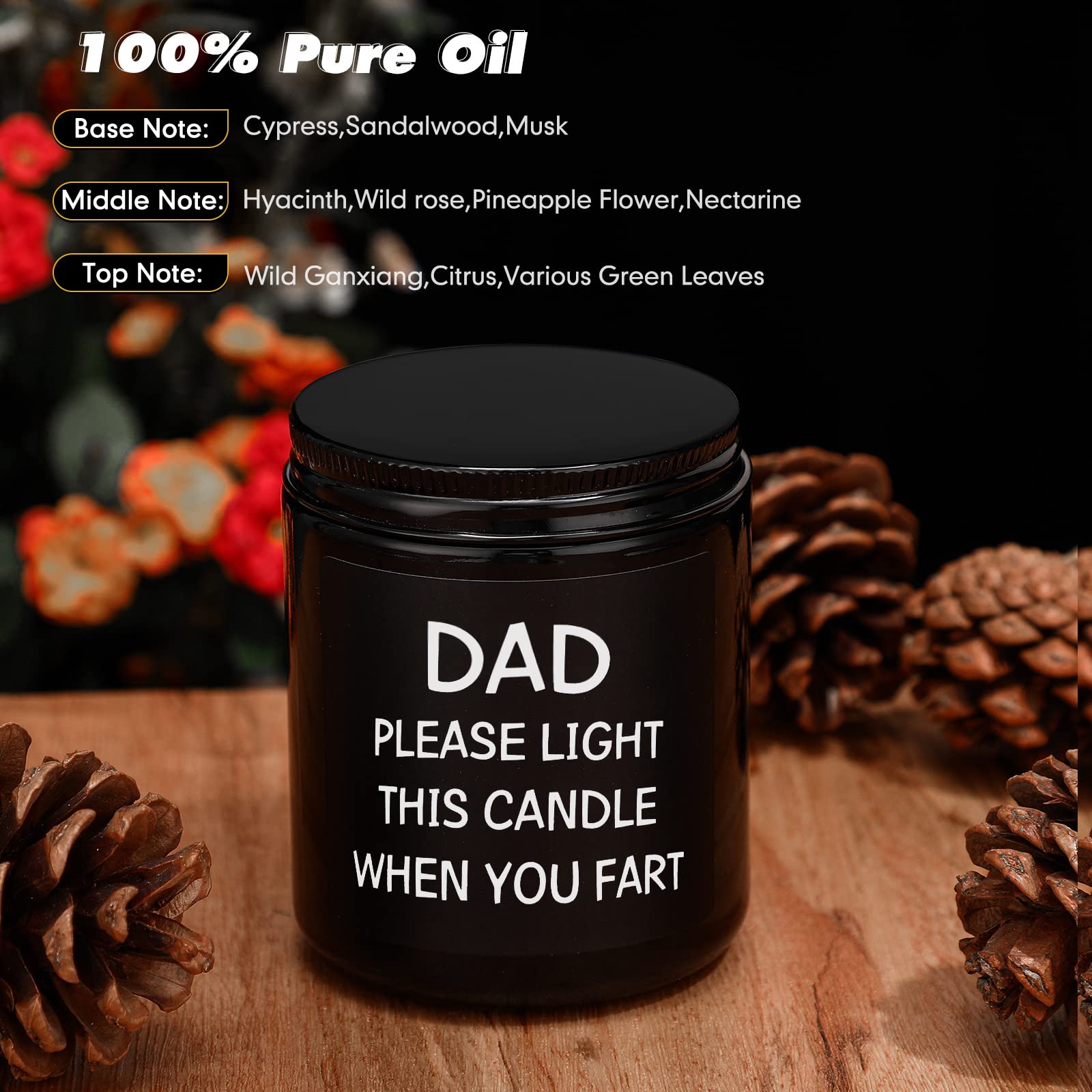 Dad Gifts from Daughter Son,Dad Birthday Gift,Fathers Day Christmas Gifts for Dad Step Dad Father in Law Him Dad Daddy,Funny Scented Candle Gifts for Dad(Dad Gifts2)