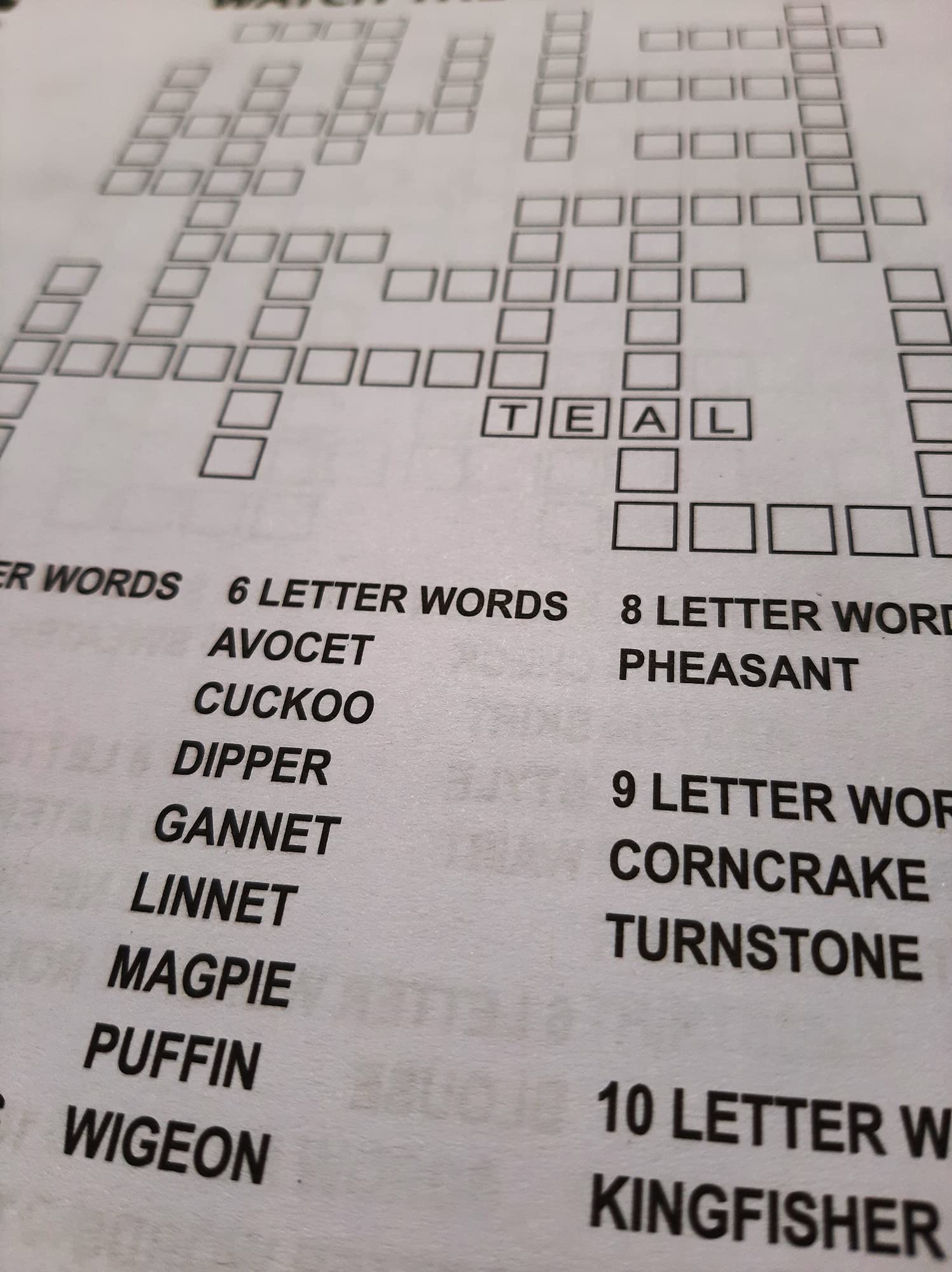 WF Graham Criss Cross Crossword Puzzle Book - Spiral Bound Brain Teasers Travel Puzzles Book with over 300 Puzzles, (4165)