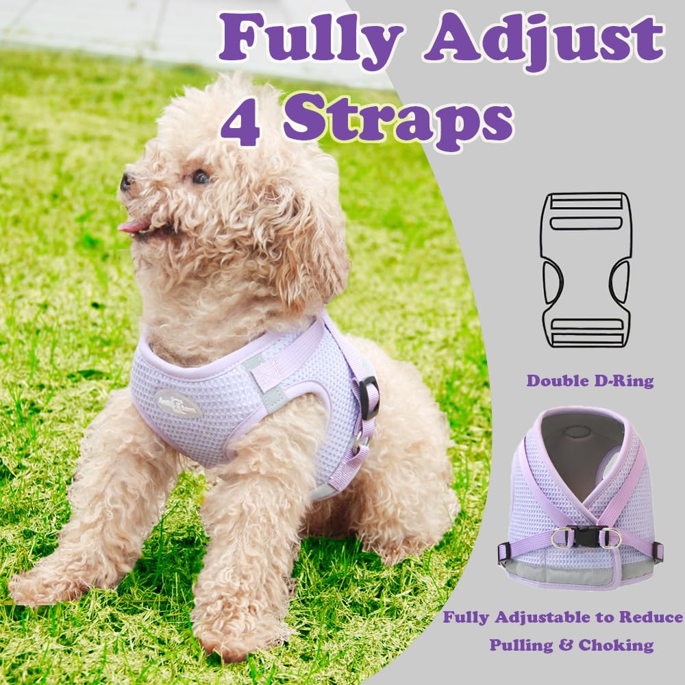 Anlitent Soft Breathable Step In Dog Harness Set for Medium Sized Dogs, No Pull Dog Harness Leash for Outdoor Jogging Training Cute Dog Collar Girl Up to 15lbs (Large, Light Purple)