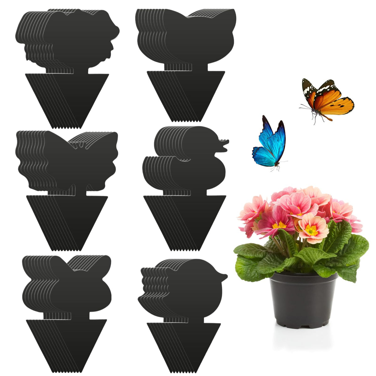 Black Fruit Fly Trap Paper, 60pcs Sticky Gnat Traps Bug Catcher for Protect Plants and Control Indoor Plant Bug