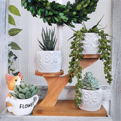 KPUY Owl Succulent Pots 3 Pcs with 3 Tier Bamboo Saucers Stand Holder, White Owl Succulent Plant Pots with Drainage and Bamboo Stand, Great for Office and Home Decor, Ideal for Gift.