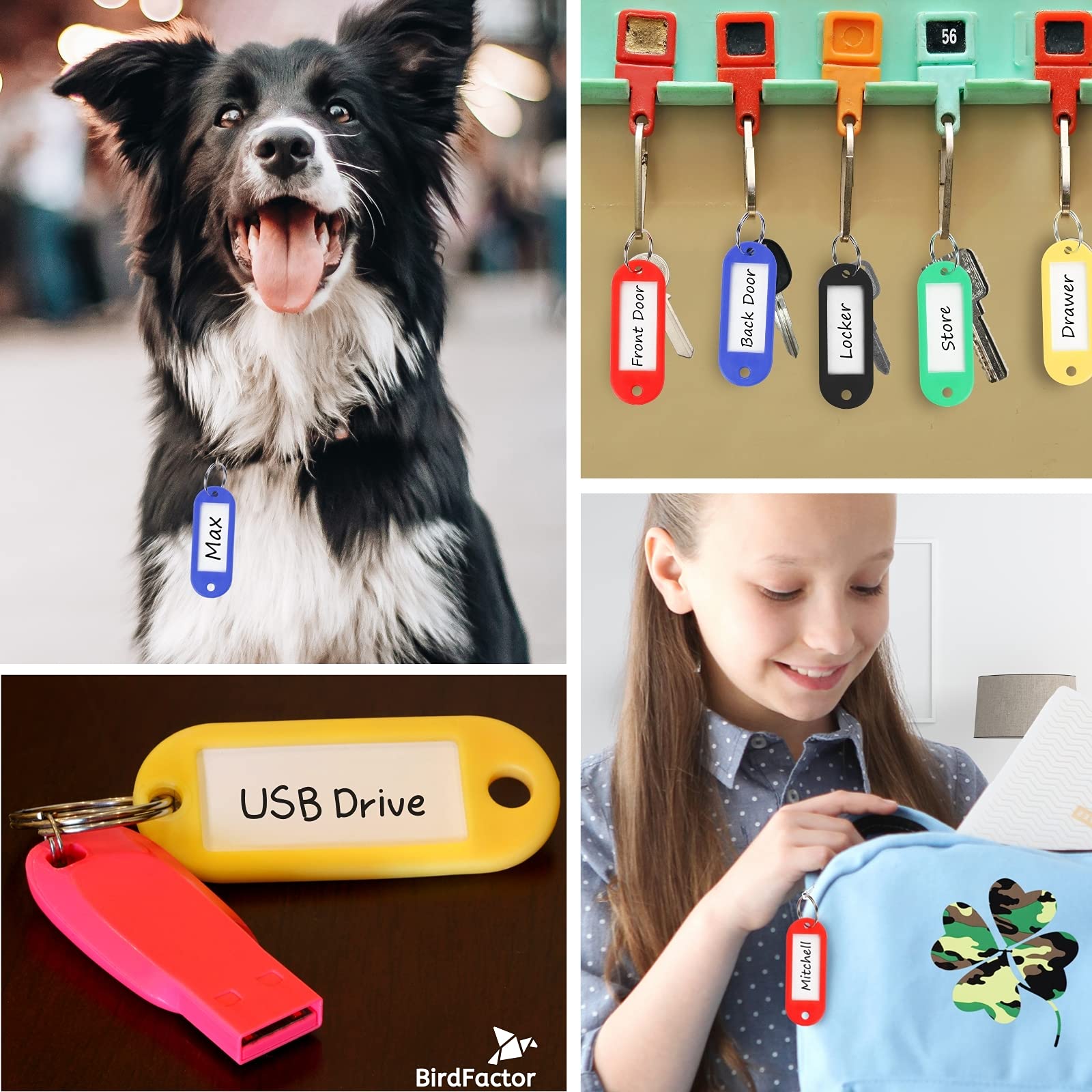 50 Pack Key Tags with Labels - 5 Colours, Plastic Box with Extra Paper Labels, Key Rings & Key Fobs with Split Rings for Keys, Pets, Luggage & Memory Stick Tags