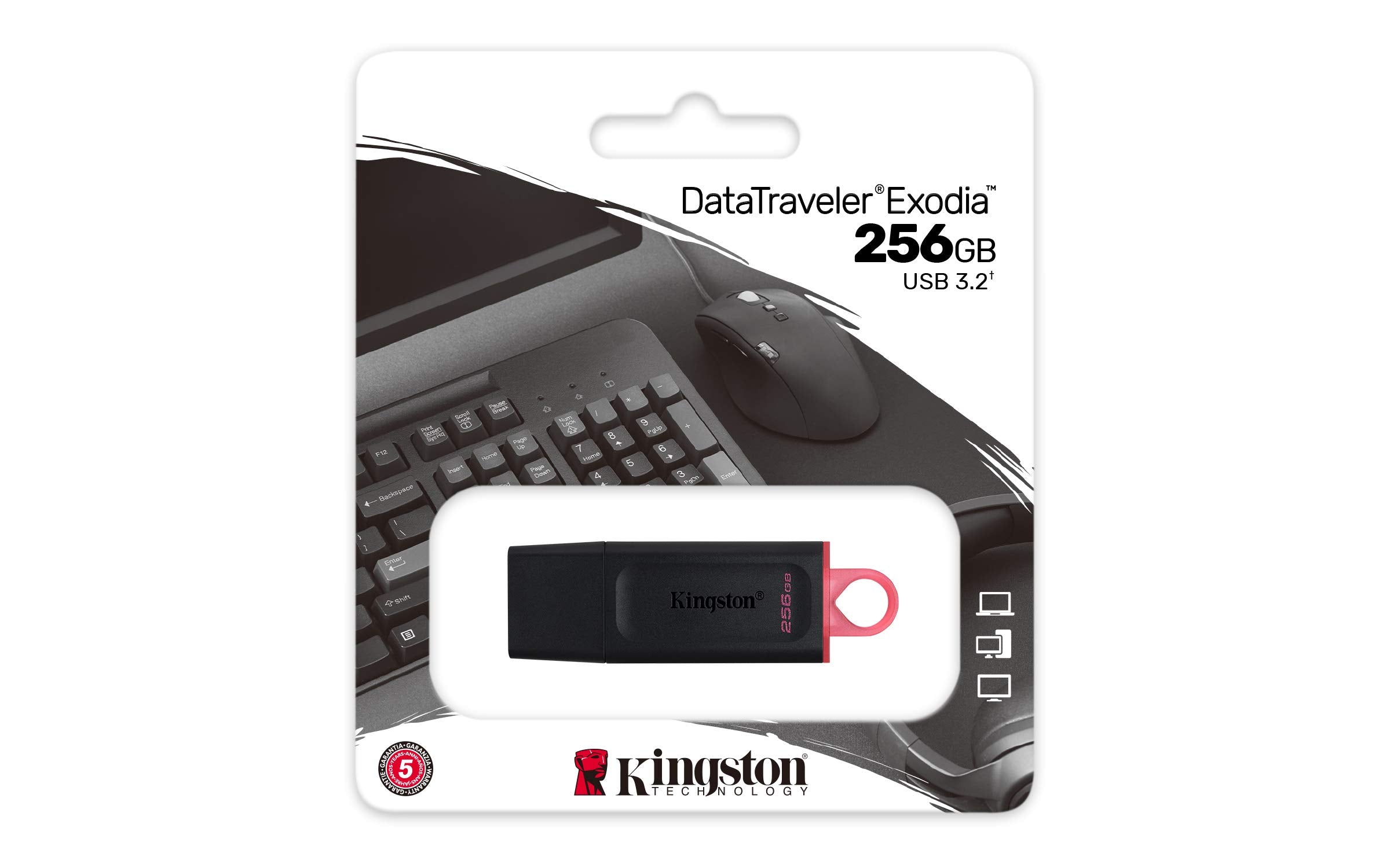 Kingston DataTraveler Exodia DTX/256GB Flash Drive USB 3.2 Gen 1 - with Protective Cap and Keyring in Multiple Colours