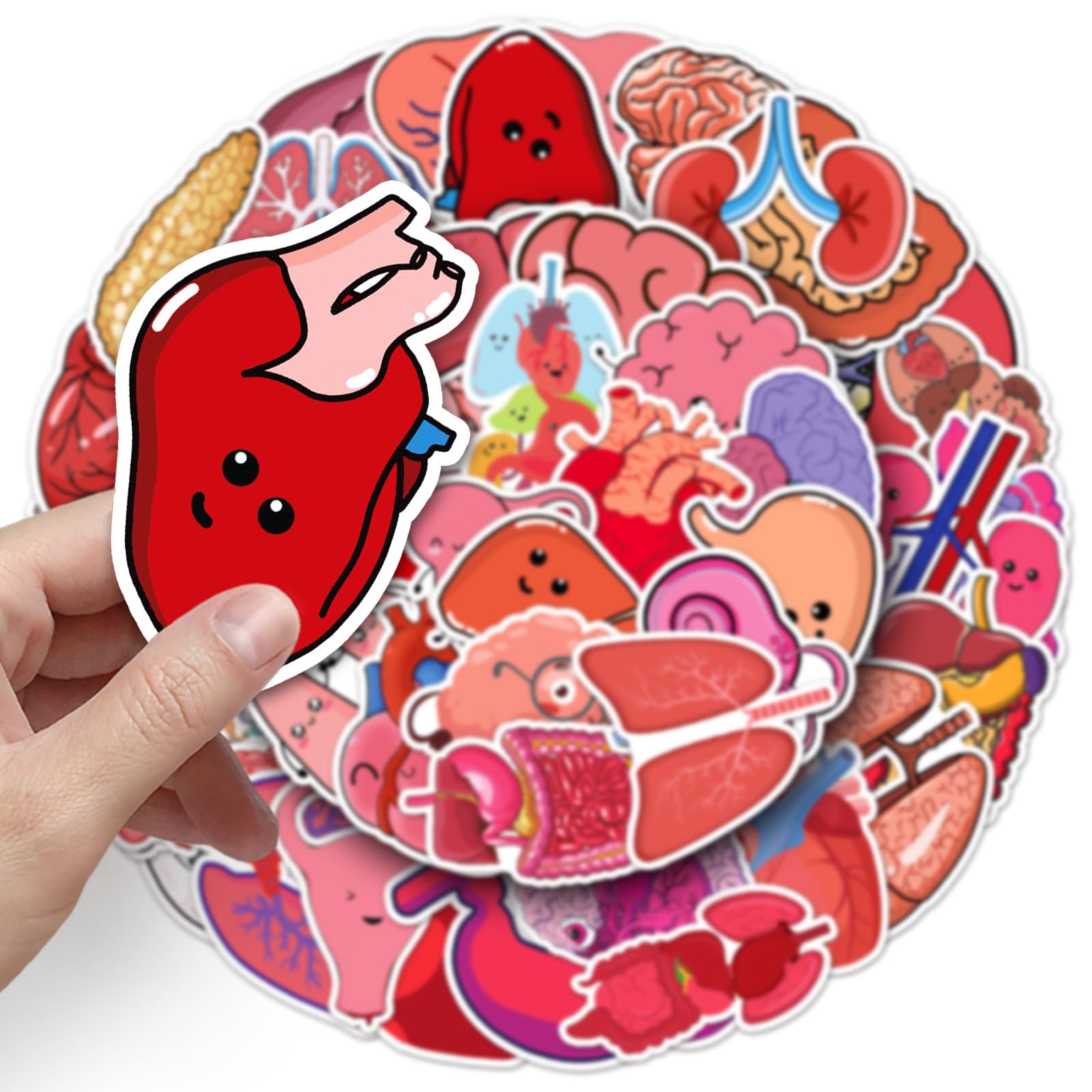 50 Pcs Human Body Organs Stickers Funny Human Biology Sticker for Water Bottle Laptop Skateboard Computer Luggage Scrapbook Car Helmet Bike,Vinyl Waterproof Sticker for Adults Doctors Nurses