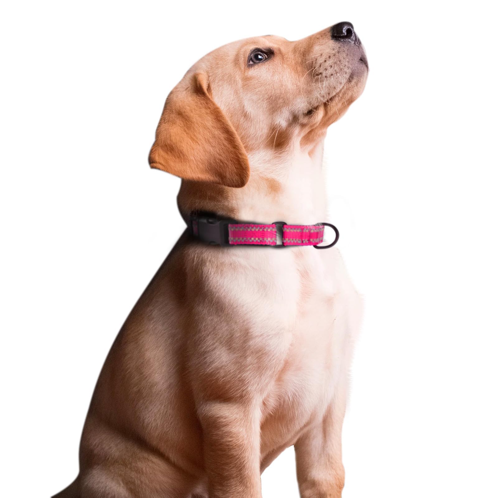 Hoowoo Dog Collar Small Dog Pink, Martingale Dog Collar Escape Proof, Reflective Half Check Collar Anti-Pull, Training Collar with Safety Quick Release Buckle, Nylon Puppy Collar for Small dogs