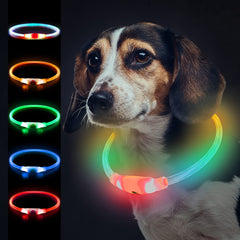 Mardiko Light up Dog Collar Rechargeable Adjustable Length for Small Medium Large Dogs Cats, Flashing LED Puppy Collars Illuminated Dog Collars with 4 Light Modes Waterproof, Multicolor