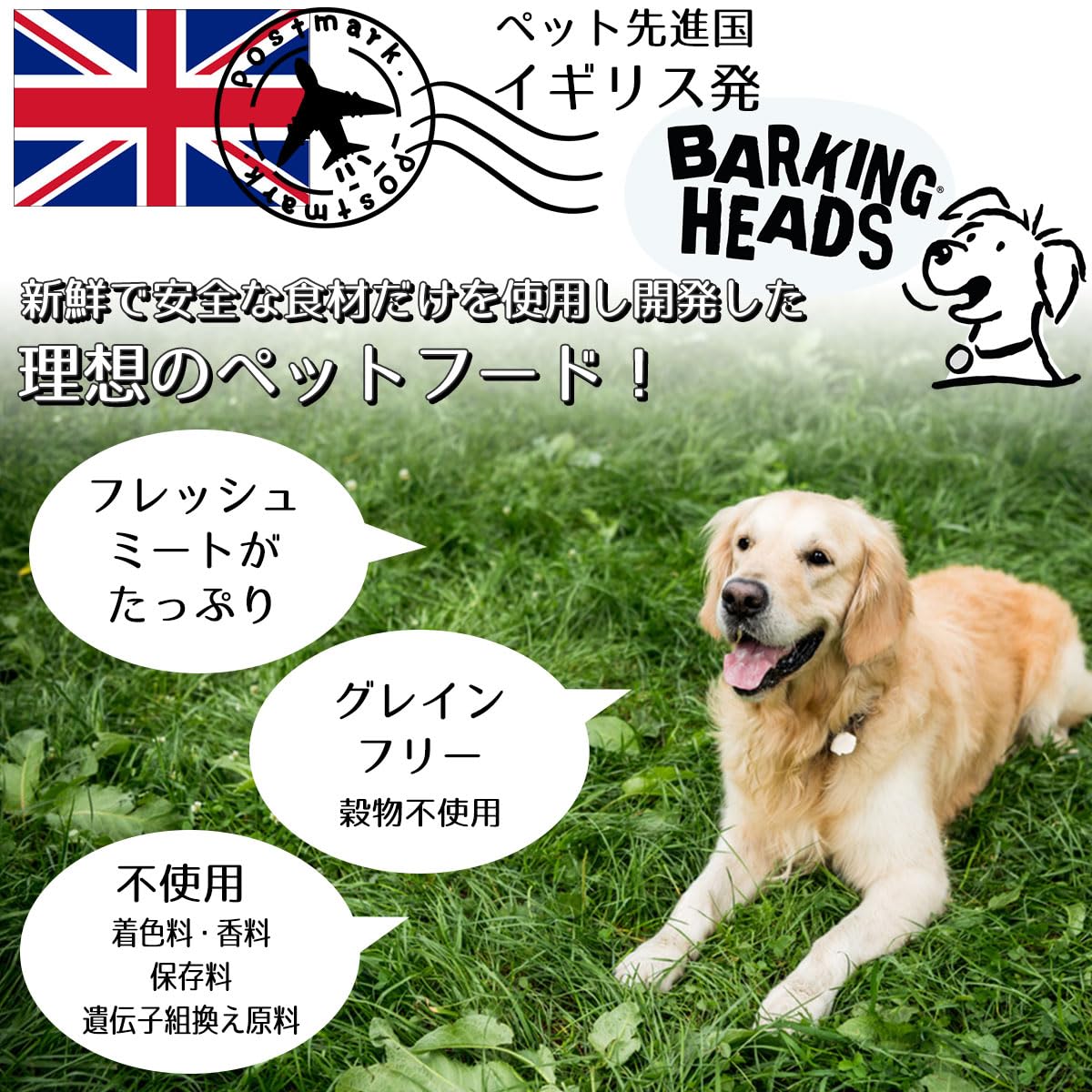 Barking Heads Complete Dry Dog Food 2kg - Senior All Hounder Golden Years Chicken - Natural Senior Recipe with Joint Support - Vet Approved