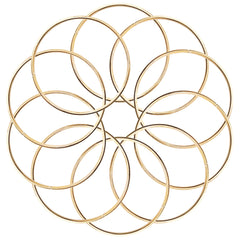 10 Pcs 2 Inch Metal Rings for Craft Gold Hoops Floral Macrame Hoops Rings for DIY Crafts Macrame Dream Catchers Supplies(Gold,2 Inch)