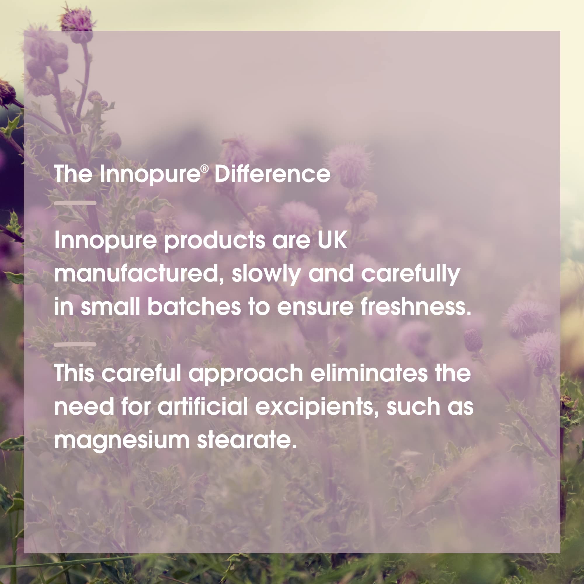 INNOPURE Organic Milk Thistle Capsules - Premium Quality, High Strength 1 Capsule Provides 3800mg - Soil Association & Vegan Society Certified - 80% Silymarin (60 Capsules) UK Made