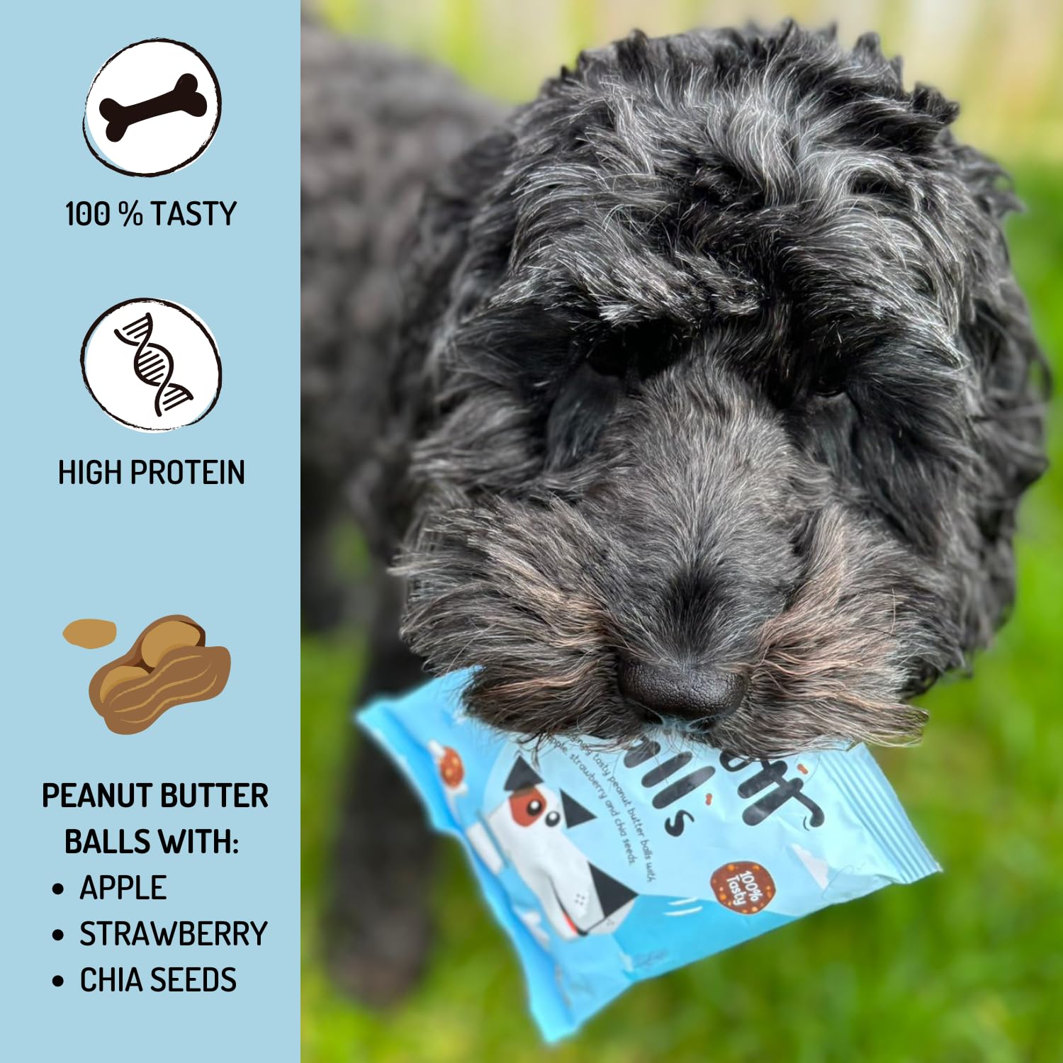 Peamutt Butter Balls, 1 x 45g, Peanut Butter Dog Treat, Formulated for Dogs, No Palm Oil, Feed as a Treat or Reward, Suitable for Dogs over 4 Months