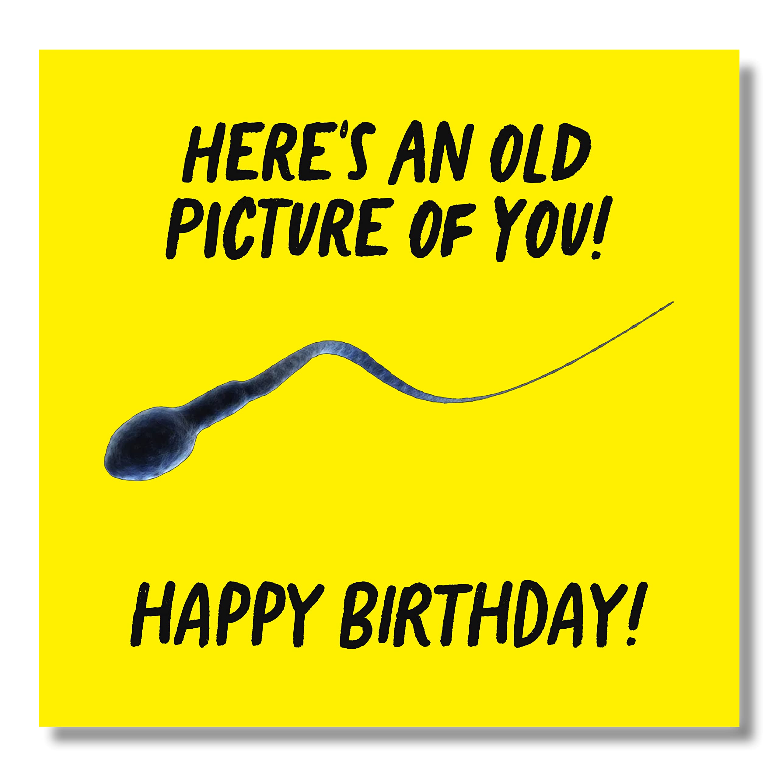 Punkcards - Funny Birthday Card for Men - 'Here's An Old Picture of You! Happy Birthday' - Best Friend Birthday Card - Birthday Card for Men - Funny Birthday Card for Women