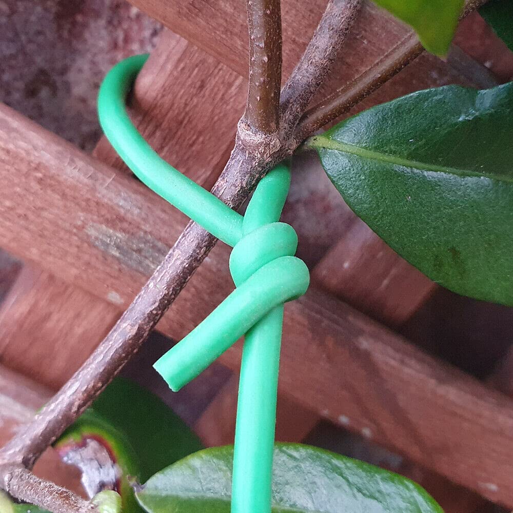 5.5m Soft Twist Ties for Plant Support, Reusable Weatherproof Long Thick Green Rubberised Wire for Gardening, Climbing Plants, Tomato, Vines, Shrubs and Flowers (5.5m Soft Twist Plant Tie)