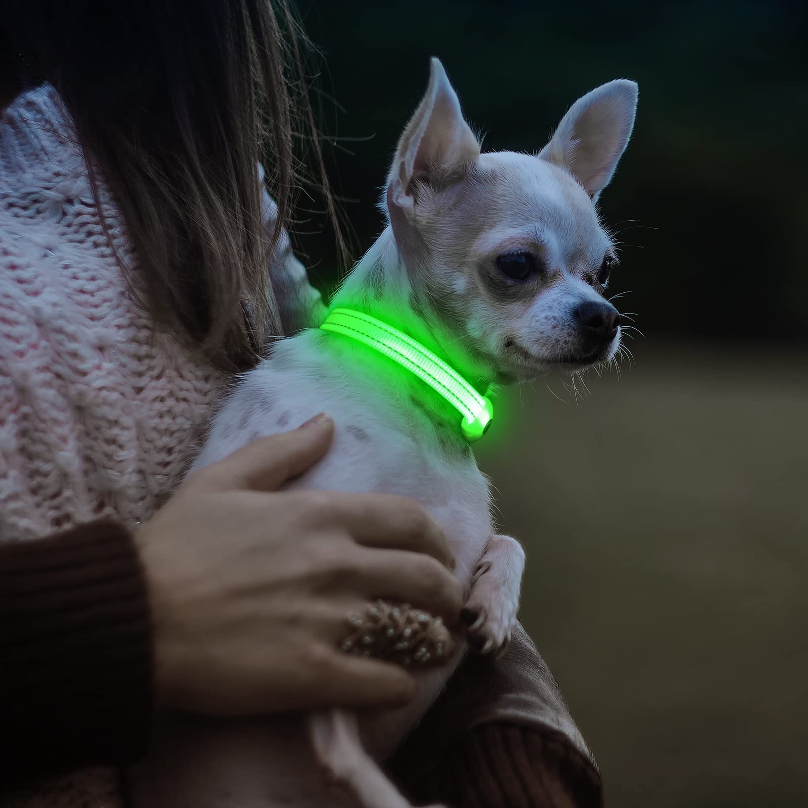 Visinite Light Up Dog Collar, Small Dog Collar Light For The Dark, Led Dog Collar Rechargeable, Night Flashing Dog Collar, Reflective Dog Led Light Collar, Dog Light Up Collar Keep Pet Safe (Green,S)