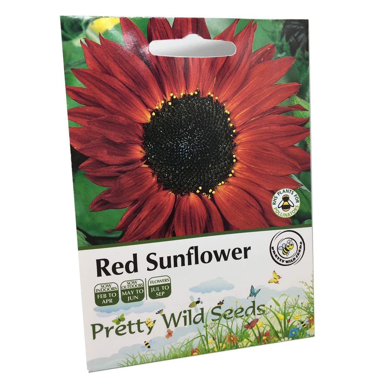 Red Sunflower Seeds UK 80 Helianthus Packet Flower Seeds by Pretty Wild Seeds