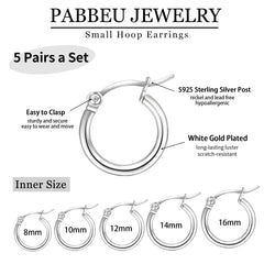 5Pairs Sterling Silver Hoop Earrings-Silver Hoops Earrings for Women Sleeper Small Hoop Earrings Tiny Mini Hoop Earrings for Girls Women 8/10/12/14/16mm PABBEU