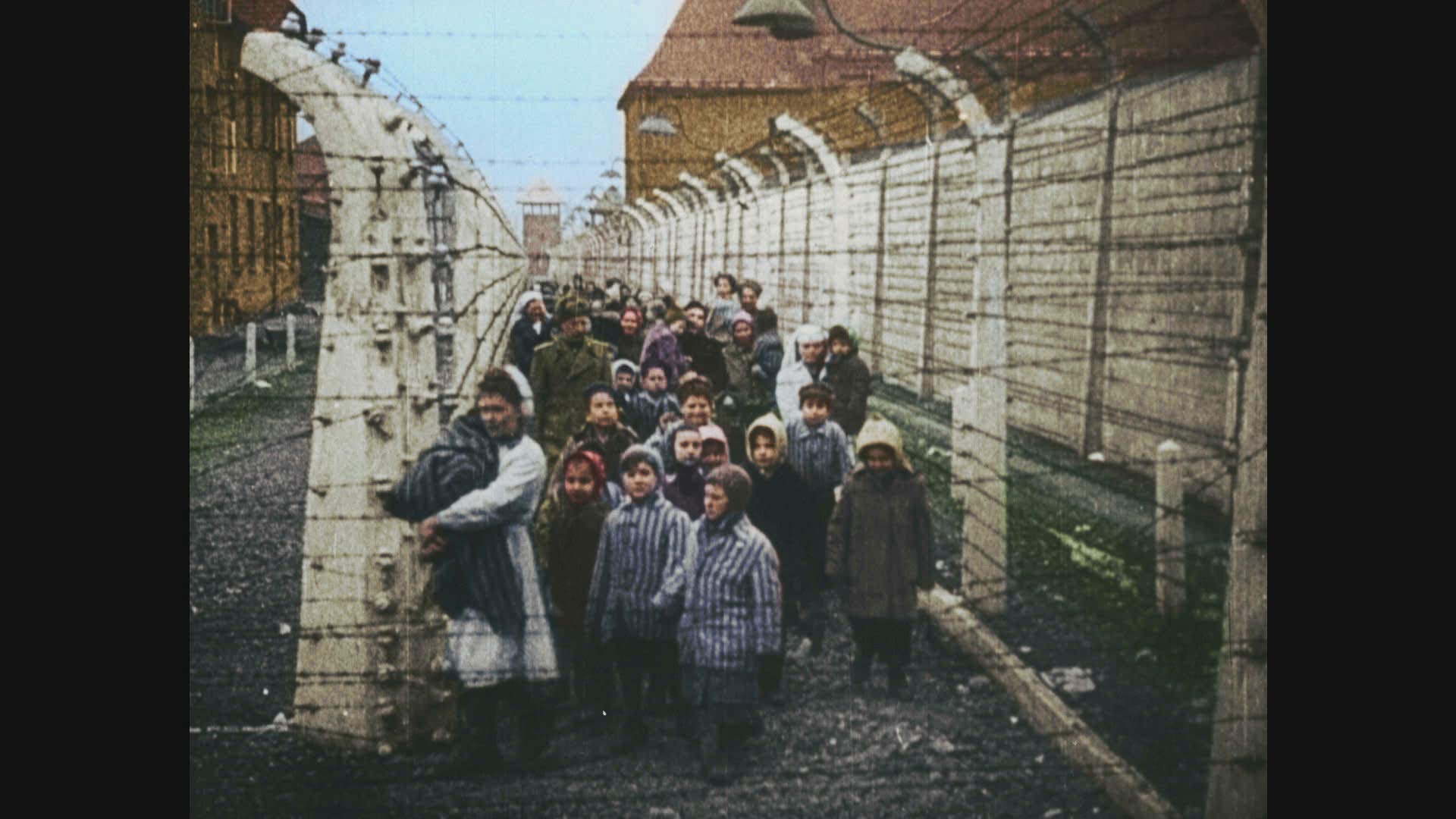 Auschwitz Untold [DVD]