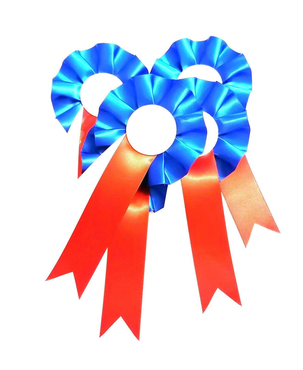 10 X Blank Rosettes In Top Quality Satin Red Blue White Rosette Pins School Prizes Sports Celebration Sport Prizes School Competitions Funerals Birthdays Occasions School Awards Sporting Awards Pin