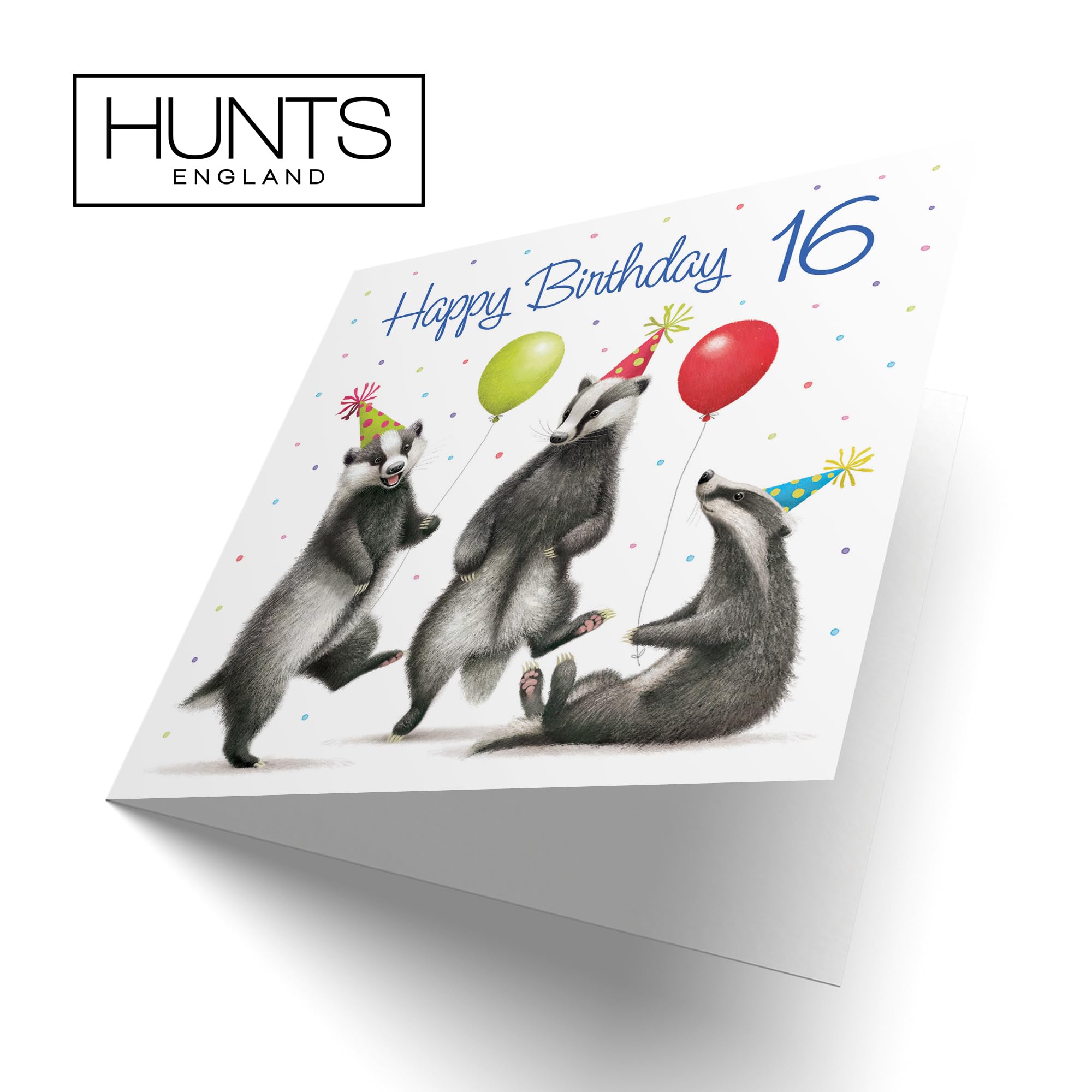 Hunts England - Badgers Funny 16th Birthday Card - Milo's Gallery - Age 16 Wildlife Birthday Card - Birthday Card For 16 Year Old Animal Fan - Age Sixteen - For Him, Her