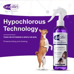 Leucillin Natural Antiseptic Spray - Antibacterial Antifungal Antiviral for Dogs Cats All Animals Itchy Skin Minor Wound Care and Skin Health   150ml